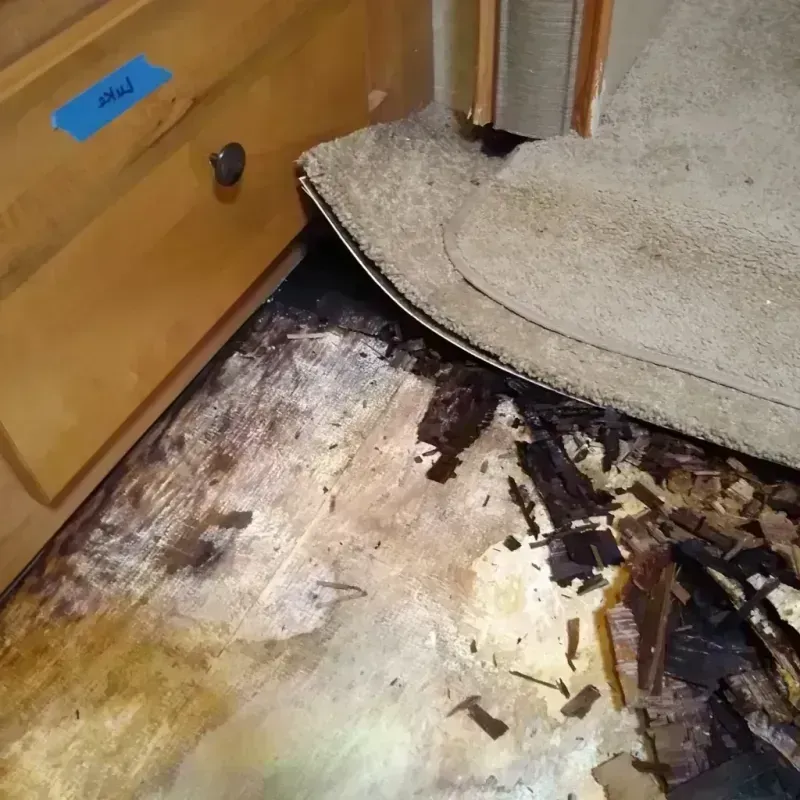 Wood Floor Water Damage in Murrieta, CA